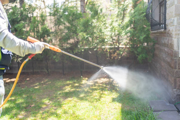 Wasp Removal Services in Tusculum, TN