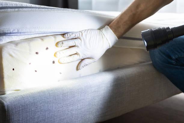 Best Exterminator Services  in Tusculum, TN