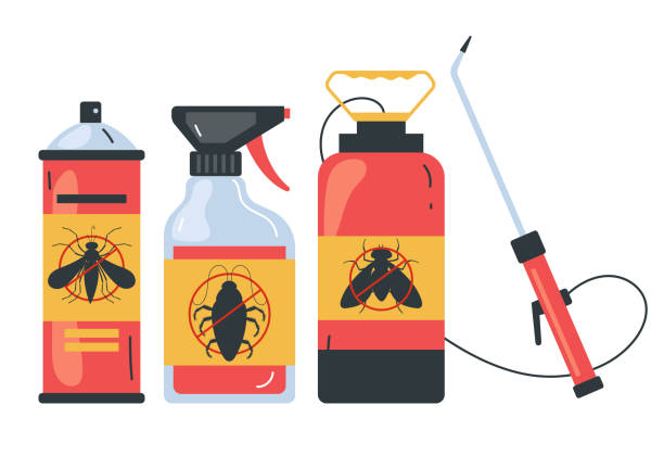 Reliable Tusculum, TN Pest Control Solutions